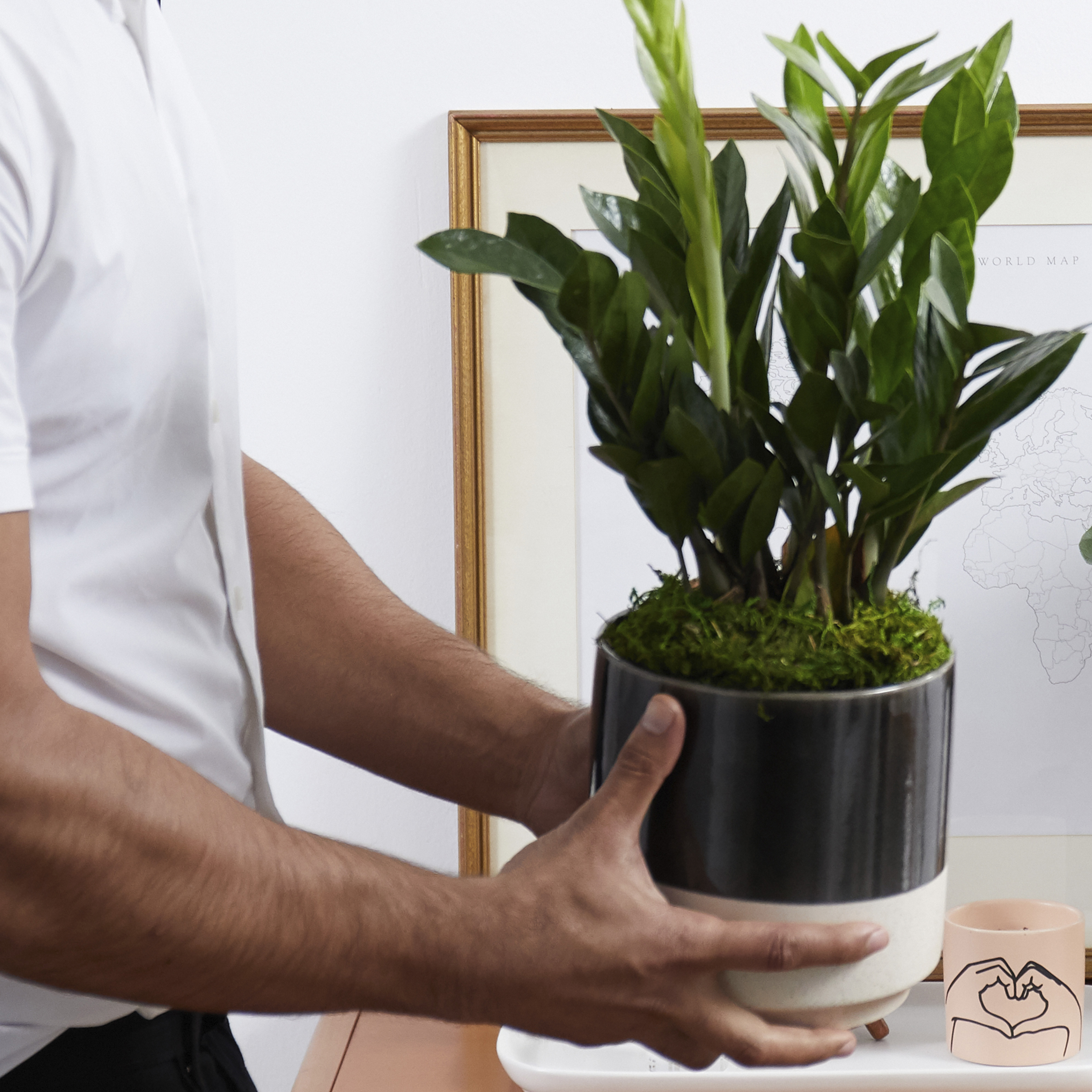 destress-with-potted-plants